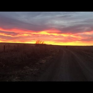 Meet your Posher, Dan